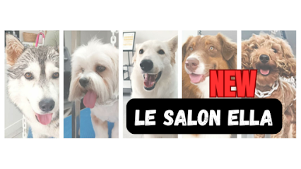 Le Salon Ella - Toilettage Canin Toiletteur Pour Animaux à Beaurains