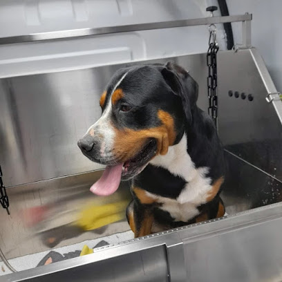Analaska Toiletteur Pour Animaux à Cempuis