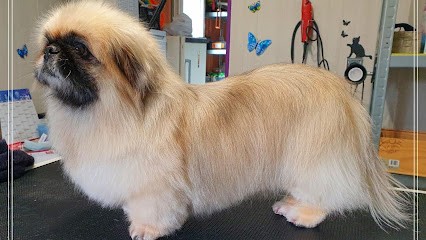 Salon de Toilettage Le Poil Rebelle, Toiletteur pour Animaux à Mazeray