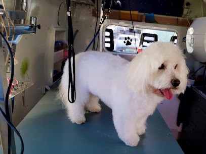 Le Camion De Toilettage/Boule De Poil, Le Salon Qui Se Déplace Pour Vous!, Toiletteur pour Animaux à Parempuyre