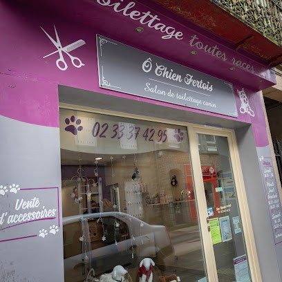 Ô Chien Fertois, Toiletteur pour Animaux à La Ferté Macé