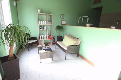 Magalie Toilettage - Toilettage Pour Chiens Et Chats, Toiletteur pour Animaux aux Herbiers