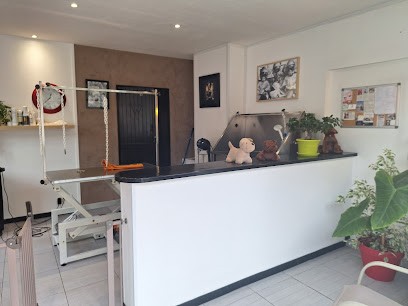 Au Bien-Etre Du Chien, Toiletteur pour Animaux à La Rochelle