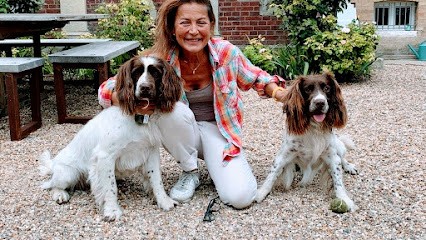 Sophie Toilettage, Toiletteur pour Animaux à Rouen