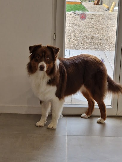 Toilettage Douceur, Toiletteur pour Animaux à Valdahon