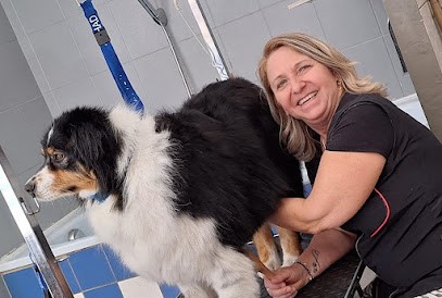 La Niche Dorée - Toilettage Et Accessoires Pour Animaux - Nice, Toiletteur pour Animaux à Nice