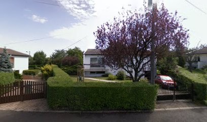 Choup'a Dog, Toiletteur pour Animaux à Seichamps