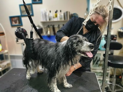 Boule de poil et bulles de savons, Toiletteur pour Animaux à Montdidier