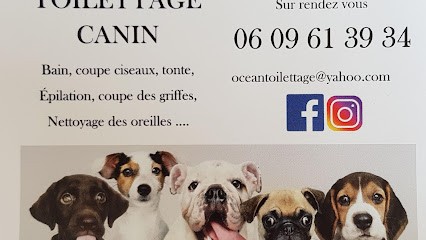 OCEAN TOILETTAGE, Toiletteur pour Animaux à Saint-Martin-de-Seignanx