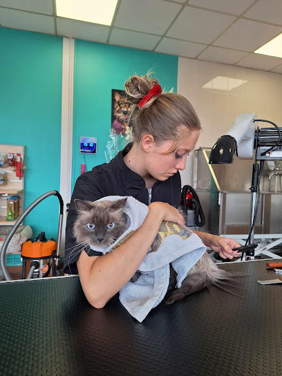 Un Poil Plus Doux, Toiletteur Pour Animaux à Étréaupont