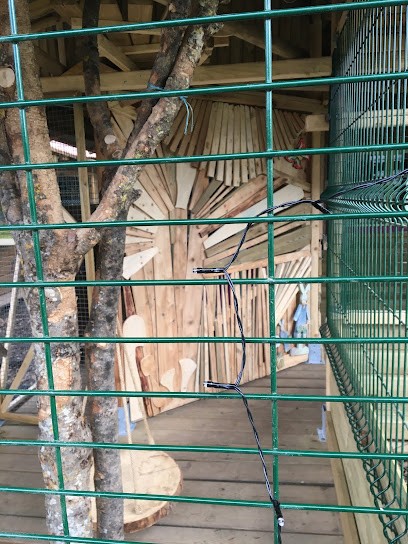 Pension Toilettage La Boire De Pinots Cathy LAMOINE, Toiletteur pour Animaux à Mariol