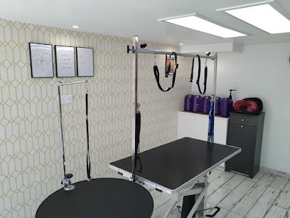 Woof institut, Toiletteur pour Animaux à Jarnac