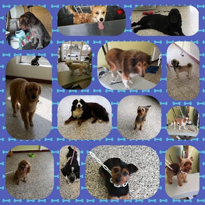 Patt'aplouf, Toiletteur pour Animaux à Oisemont