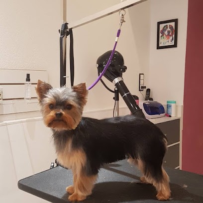 Anim'Allié Beauté, Toiletteur pour Animaux à Yenne