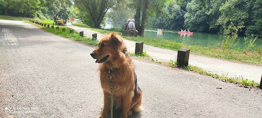 Mary Loulou, Toiletteur pour Animaux à Fougères