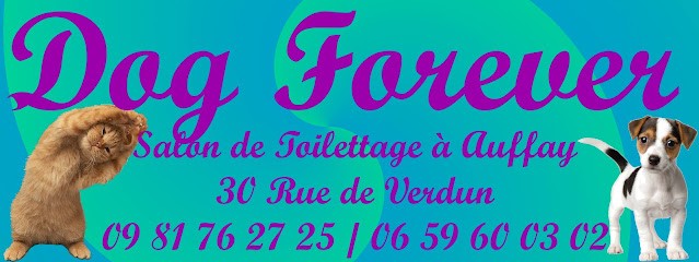 Dog Forever, Toiletteur pour Animaux à Auffay