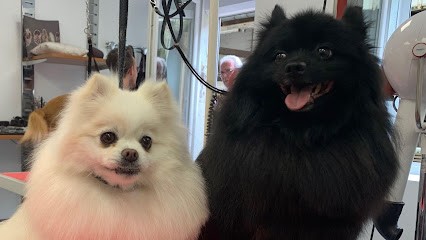 Heart De Poil, Toiletteur pour Animaux à Champigneulles