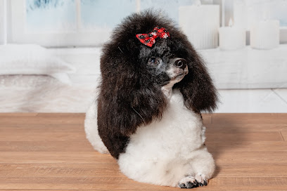Melissa's Dogs - Toilettage Chien, Toiletteur Pour Animaux à Châteaubourg