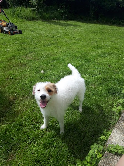 Au Toilettage, Toiletteur pour Animaux à La Ferté-Milon