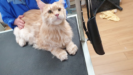 Felix Canin, Toiletteur Pour Animaux à Verny