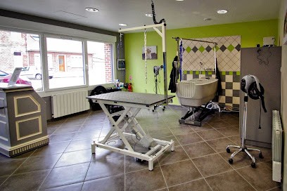 Dog'story, Toiletteur pour Animaux à Roye