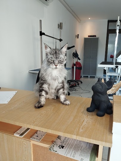 Ad Chien & Cie, Toiletteur pour Animaux à Pont-d'Ain