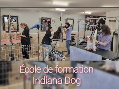 Indiana Dog, Toiletteur pour Animaux à Arandon-Passins