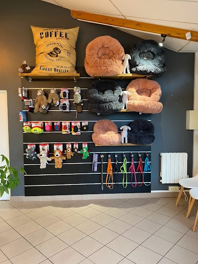 Salon de Toilettage Des Quatt'Pattes, Toiletteur pour Animaux à Riorges