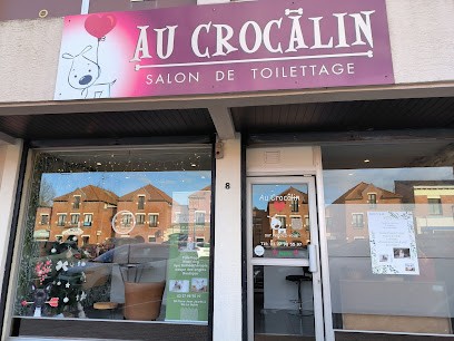 Au Crocalin, Toiletteur pour Animaux à Sin-le-Noble