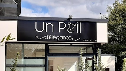 Eurl Un Poil d'Élégance, Toiletteur pour Animaux à Ploeren