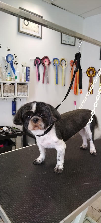 Détente Canine, Toiletteur pour Animaux à Verlin