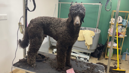 Bulles'dog Toilettage, Toiletteur Pour Animaux à Soultz-les-Bains