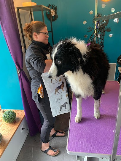 Aux Doux Poils, Toiletteur pour Animaux à Métabief