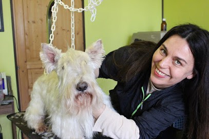 Charly's-Dog, Toiletteur pour Animaux à Saint-Capraise-de-Lalinde