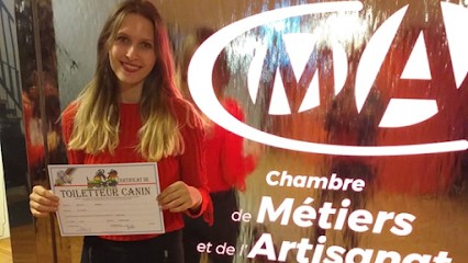 Beauté Canine, Toiletteur pour Animaux à Ladoix-Serrigny