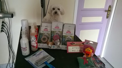Animal Coquet, Toiletteur pour Animaux au Haillan