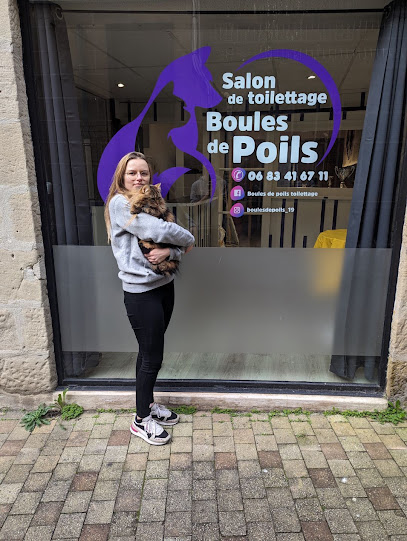 Boules De Poils Toiletteur Pour Animaux à Brive-la-Gaillarde