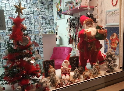 Osmose Toilettage, Toiletteur pour Animaux à Quincy-sous-Sénart