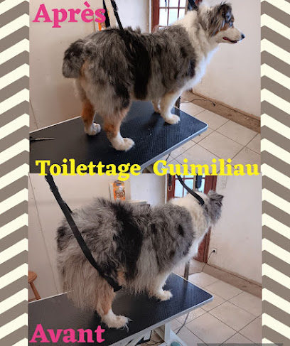 Coiff' Balneo Toutous, Toiletteur Pour Animaux à Guimiliau