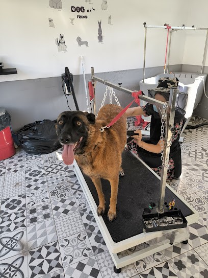 ArtistÔpoils, Toiletteur pour Animaux à Seingbouse