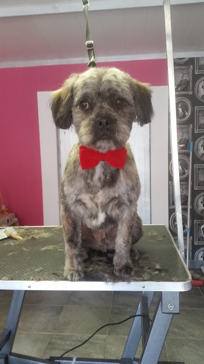 Boul'2poils Le Salon, Toiletteur pour Animaux au Monastère