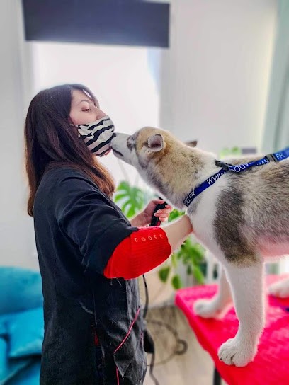 Mel Toilettage, Toiletteur pour Animaux à Traînou