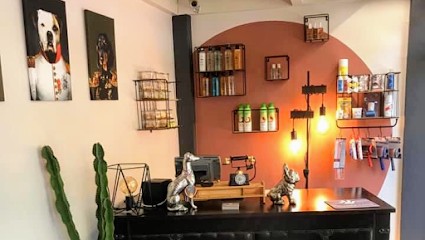 L’Atelier Canin By Andréa, Toiletteur pour Animaux à Seynod