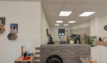 Les Aristochiens, Toiletteur pour Animaux à Penta-di-Casinca