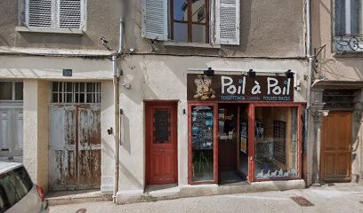 Treyve Maryline, Toiletteur pour Animaux à Montbrison