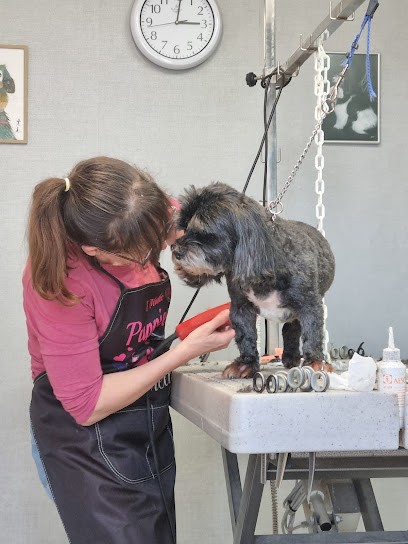 Toutou Coiffeur, Toiletteur pour Animaux à Puttelange-aux-Lacs
