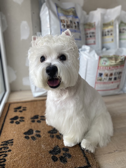 Chez Titou Net' Toiletteur Pour Animaux à Castanet-Tolosan