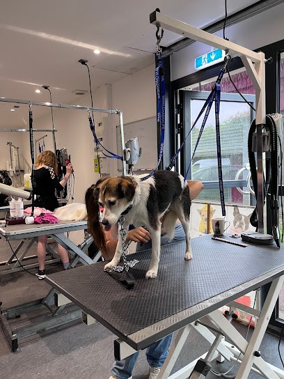 A L’eau Les Toutous, Toiletteur pour Animaux à Val-de-Reuil