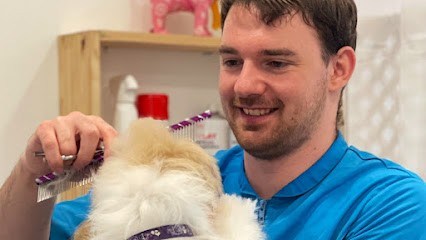 OSCAR OSCAR MOUVAUX Toilettage, Bains Et P’tits Bonheurs Pour Chiens & Chats., Toiletteur pour Animaux à Mouvaux