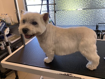 LOVELY PETS Toilettage Canin, Toiletteur pour Animaux à Orthez